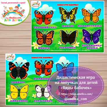 Игра на липучках - аппликация для детей "Виды бабочек"