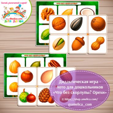Дидактическая игра - лото для дошкольников "Что без скорлупы? Орехи".