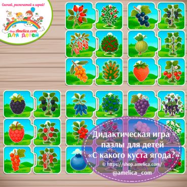 Дидактическая игра - пазлы для детей «С какого куста ягода?»