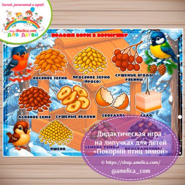 Игра на липучках для дошкольников "Покорми птиц зимой!"- 3 вариант.