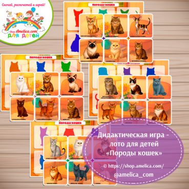 Дидактическая игра - лото для детей «Породы кошек»
