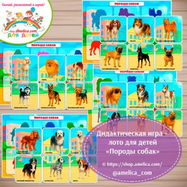 Дидактическая игра - лото для детей «Породы собак»