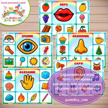 Дидактическая игра лото-сортировка для детей «Органы чувств человека»