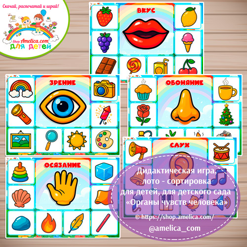 Дидактическая игра лото-сортировка для детей «Органы чувств человека»