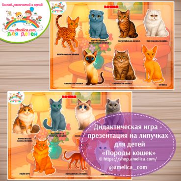 Игра на липучках для дошкольников "Породы кошек"