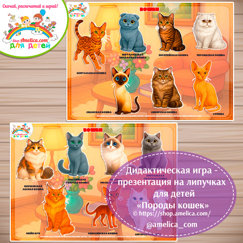 Игра на липучках для дошкольников "Породы кошек"
