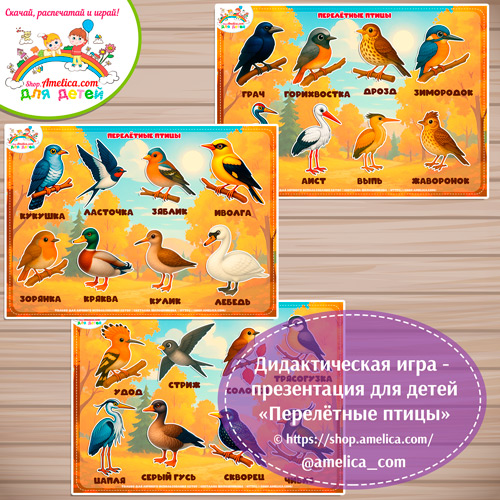 Дидактическая игра - презентация «Перелётные птицы» - 2 вариант