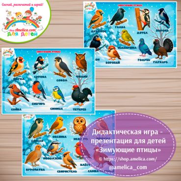 Дидактическая игра - презентация «Зимующие птицы»- 2 вариант