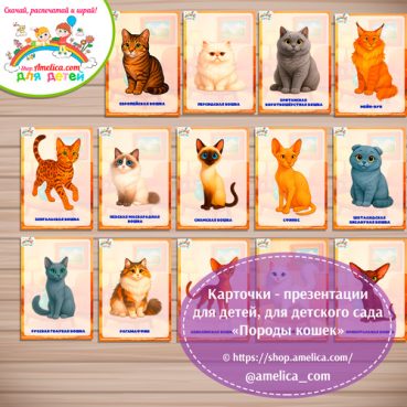 Карточки - презентации для детей, оформления стенда в детском саду «Породы кошек» - 1 вариант