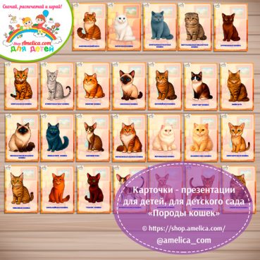 Карточки - презентации для детей, оформления стенда в детском саду «Породы кошек» - 2 вариант