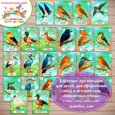 Карточки - презентации для детей, оформления стенда в детском саду «Перелётные птицы весной» - 3 вариант