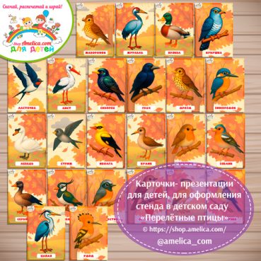 Карточки - презентации для детей, оформления стенда в детском саду «Перелётные птицы осенью» - 2 вариант