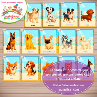 Карточки - презентации для детей, оформления стенда в детском саду «Породы собак» - 1 вариант