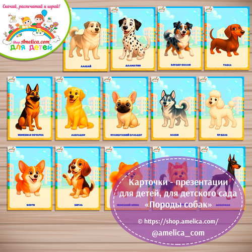 Карточки - презентации для детей, оформления стенда в детском саду «Породы собак» - 1 вариант