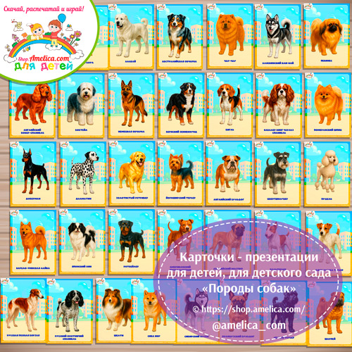 Карточки - презентации для детей, оформления стенда в детском саду «Породы собак» - 2 вариант