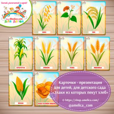 Злаки из которых пекут хлеб