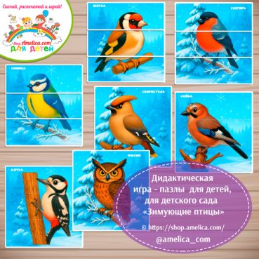 Зимующие птицы