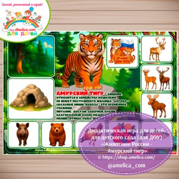 Дидактическая игра для детей на 29 Июля - День тигра «Животные России - Амурский тигр»
