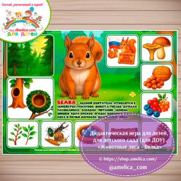 Дидактическая игра для детей на 17 Ноября - День Белки «Животные леса - Белка»