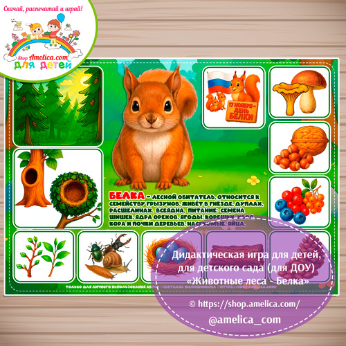 Дидактическая игра для детей на 17 Ноября - День Белки «Животные леса - Белка»