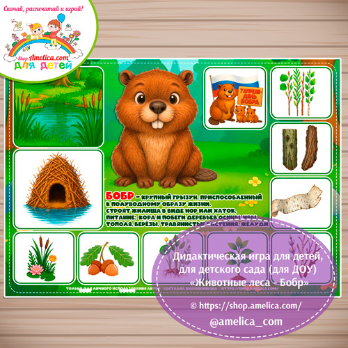 Дидактическая игра для детей на 7 Апреля - День Бобра «Животные леса - Бобр»