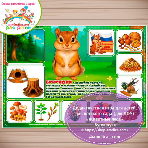 Дидактическая игра для детей на 6 Сентября - День Бурундука «Животные леса - Бурундук»