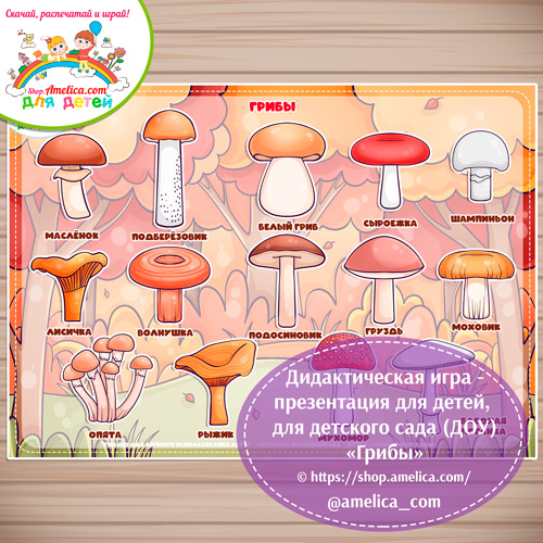 Дидактическая игра - презентация «Грибы» - 2 вариант