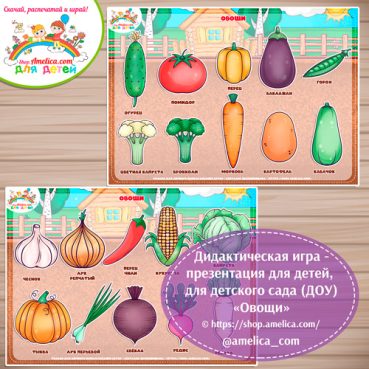 Дидактическая игра - презентация «Овощи»