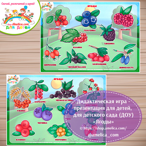 Дидактическая игра - презентация «Ягоды»