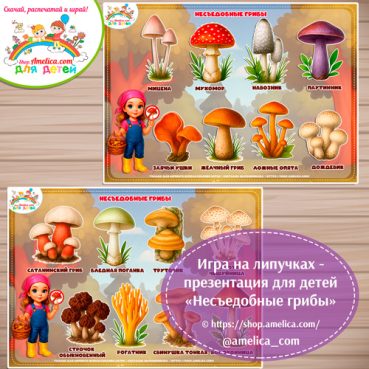 Дидактическая игра - презентация «Съедобные грибы»