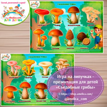Дидактическая игра - презентация «Съедобные грибы»