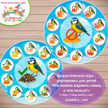 Дидактическая игра - сортировка для детей «Чем можно кормить синиц, а чем нельзя!»