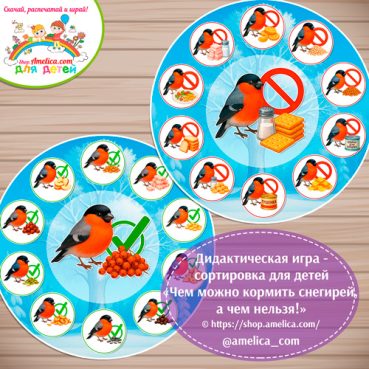 Дидактическая игра - сортировка для детей «Чем можно кормить снегирей, а чем нельзя!».