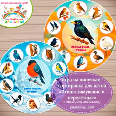 Дидактическая игра - сортировка «Птицы зимующие и перелётные»