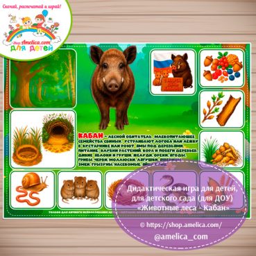 Дидактическая игра для детей на 1 Марта - День Кабана «Животные леса - Кабан»