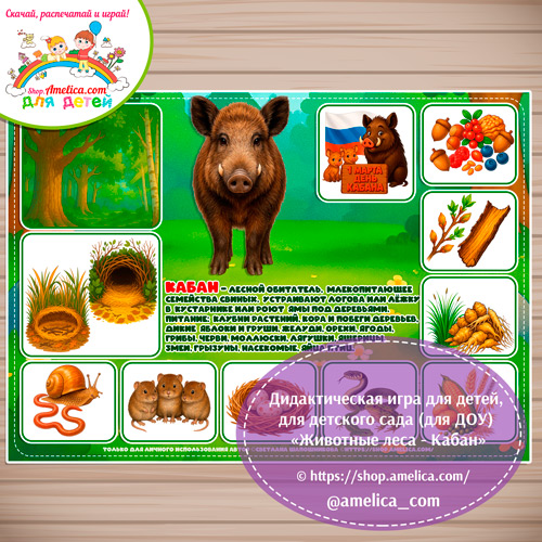Дидактическая игра для детей на 1 Марта - День Кабана «Животные леса - Кабан»