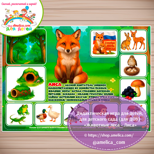 Дидактическая игра для детей на 1 Ноября - День Лисы «Животные леса - Лиса».