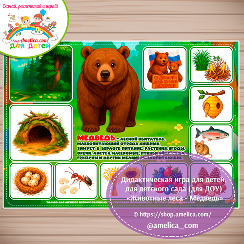 Дидактическая игра для детей на 13 Декабря - День Бурого медведя «Животные леса - Медведь»