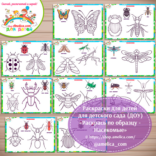 Раскраски для детей, для детского сада (ДОУ) "Раскрась по образцу - Насекомые"