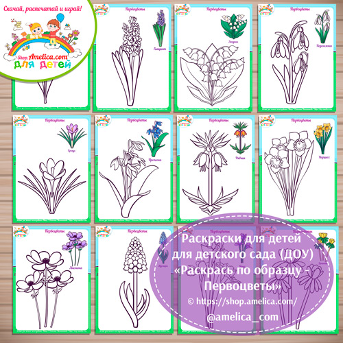 Первоцветы