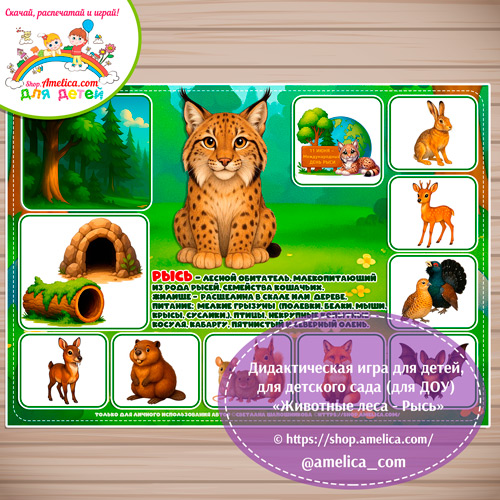 Дидактическая игра для детей на 11 Июня - День Рыси «Животные леса - Рысь»