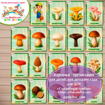 Карточки - презентации для дошкольников «Съедобные грибы»