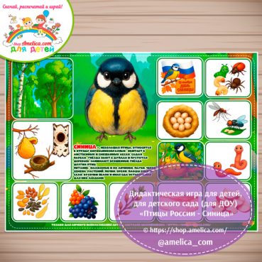 Дидактическая игра для детей на 12 Ноября - День Синицы «Птицы России - Синица»