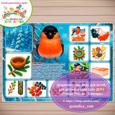 Дидактическая игра для детей на 9 Января - День Снегиря «Птицы России - Снегирь»