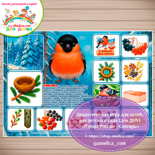 Дидактическая игра для детей на 9 Января - День Снегиря «Птицы России - Снегирь»