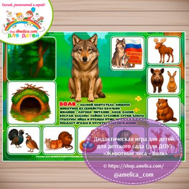 Дидактическая игра для детей на 13 Августа - День Волка «Животные леса - Волк»