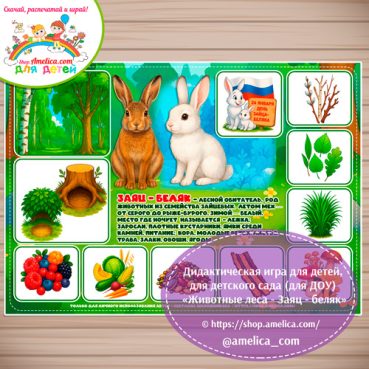 Дидактическая игра для детей на 24 Января - День Зайца - беляка «Животные леса - Заяц - беляк»