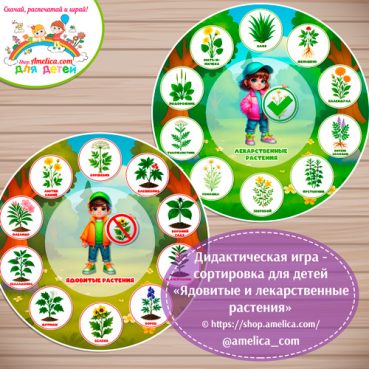 Дидактическая игра - сортировка «Ядовитые и лекарственные растения».
