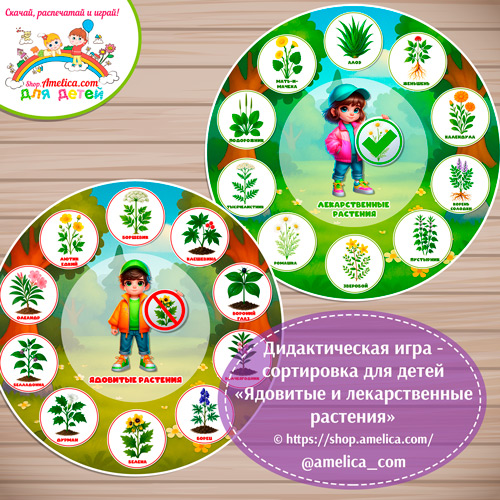 Дидактическая игра — сортировка «Ядовитые и лекарственные растения». Дидактическая игра - сортировка «Ядовитые и лекарственные растения».