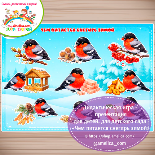 Дидактическая игра для детей на 9 Января - День Снегиря «Чем питается снегирь зимой»